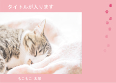H18 眠る猫